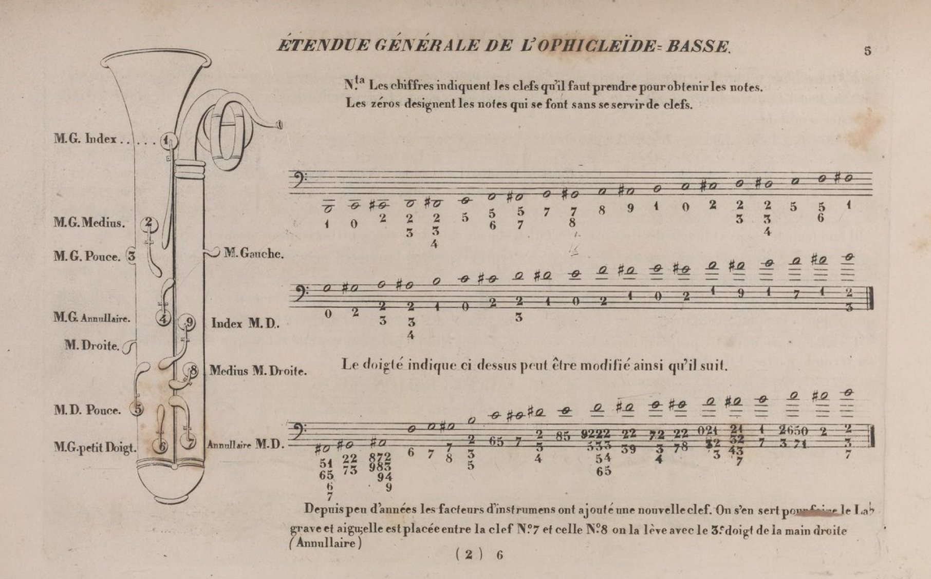 sistermann chart