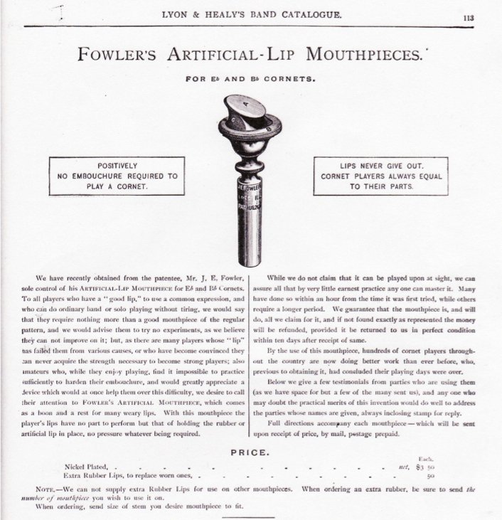 Artificial lips