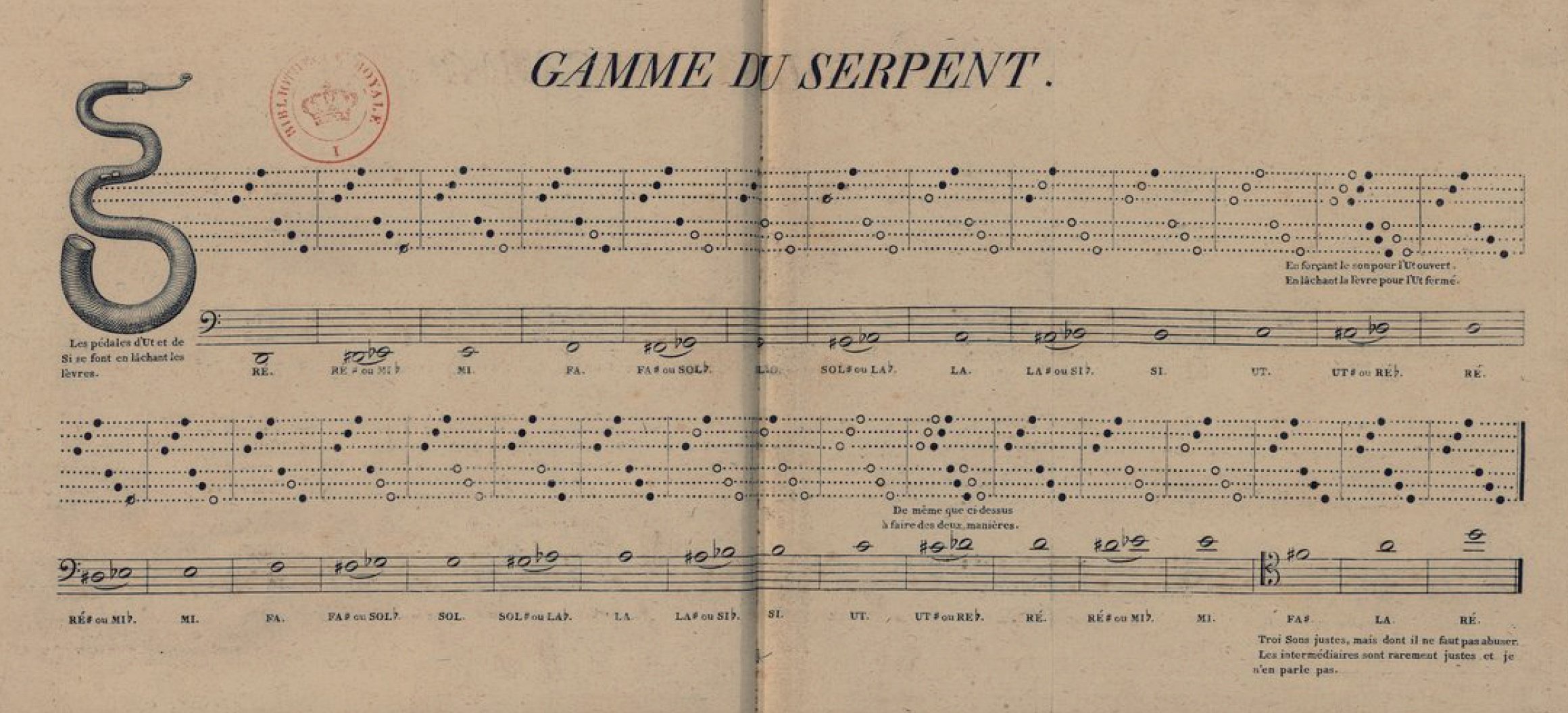 gamme du serpent