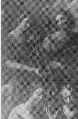 bertusio detail