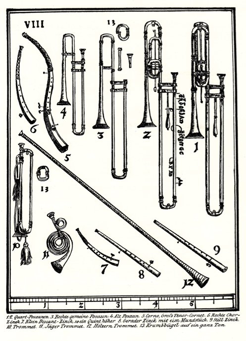 Praetorius plate 8