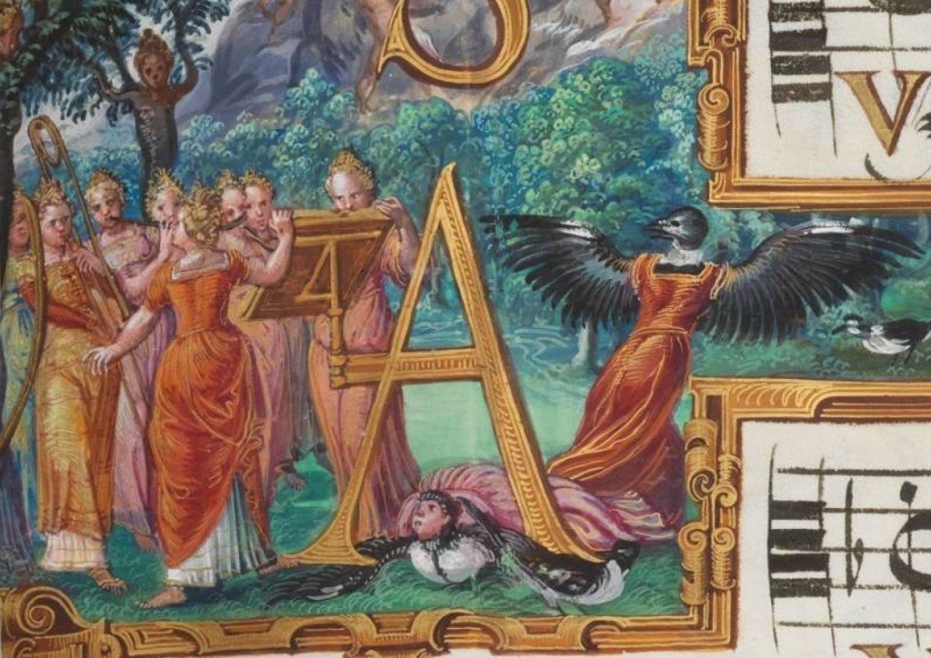 mirabar bird detail small