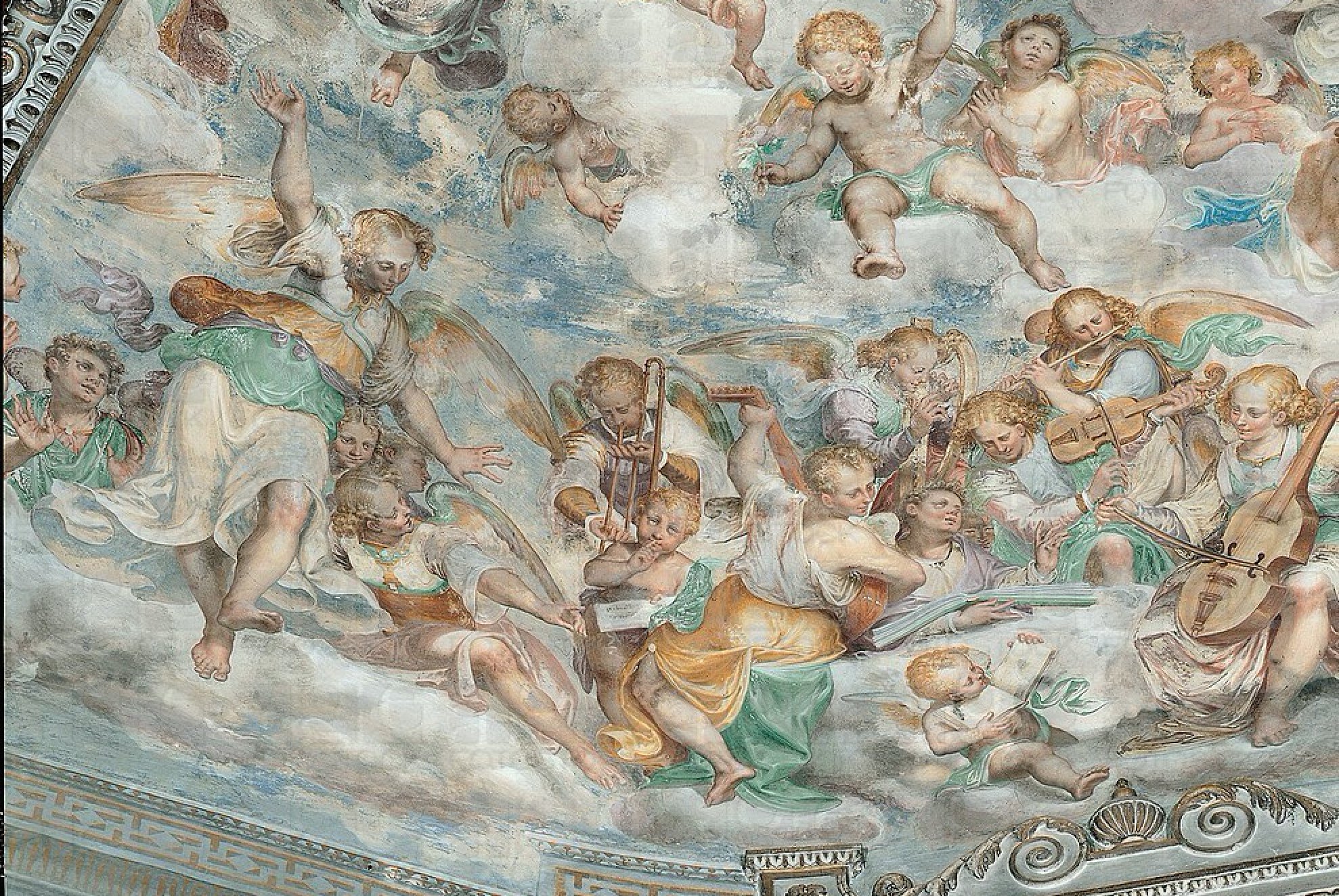 urbino large