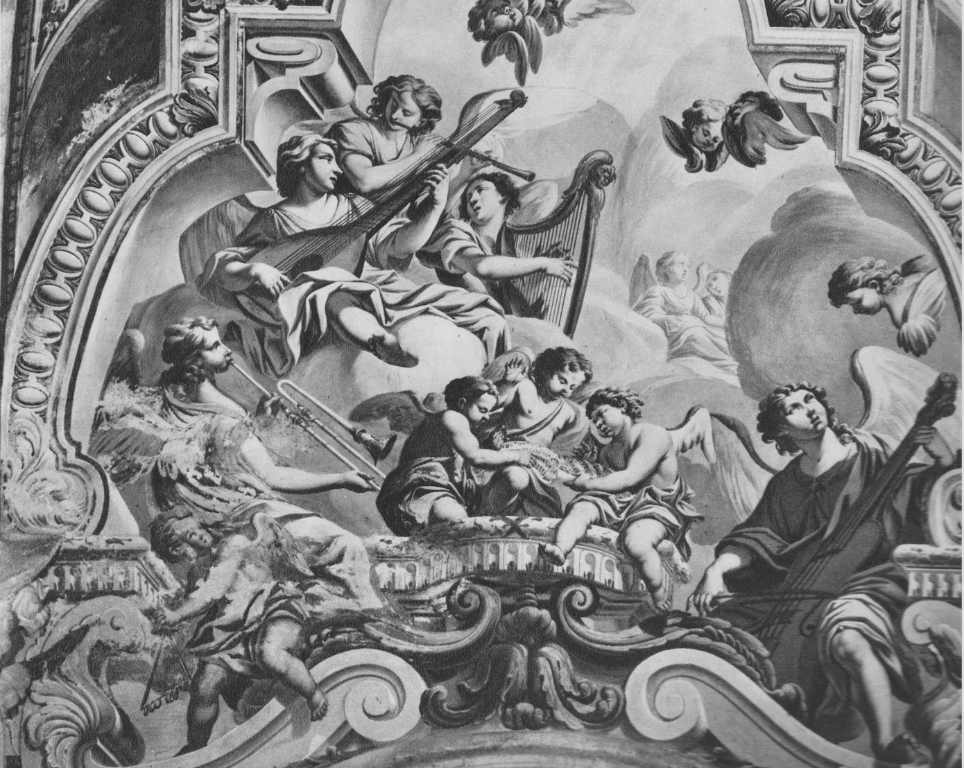 procaccini scan full