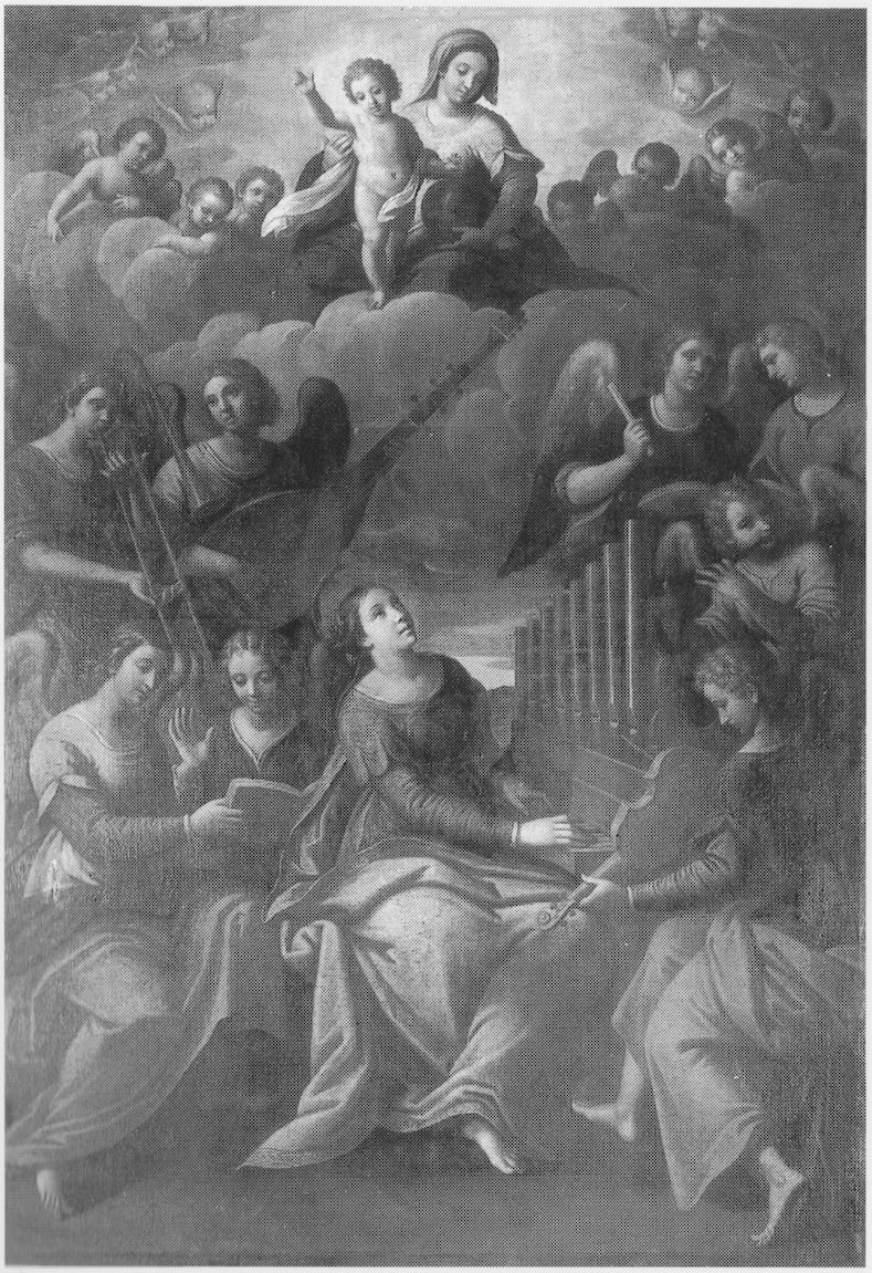 bertusio 2